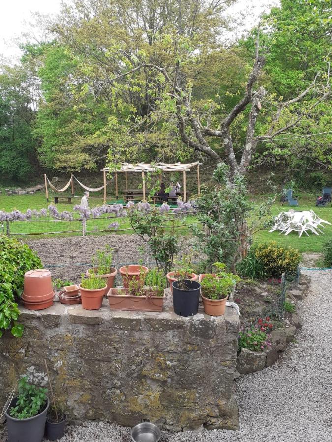 Case Danti Padronale Santa Fiora Extérieur photo